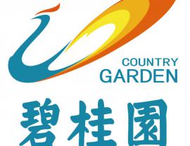 碧桂園